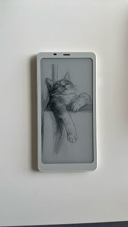 Boox Palma 2
