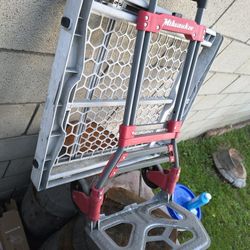 Milwaukee Dolly 