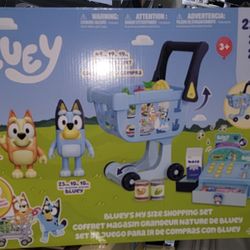 Bluey Shopping Cart & Accessories 