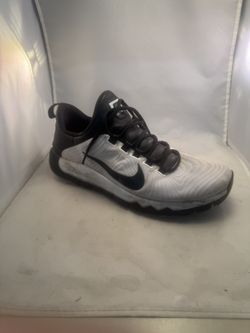 Nike Free Trainer 5.0  Or Casual Shoes