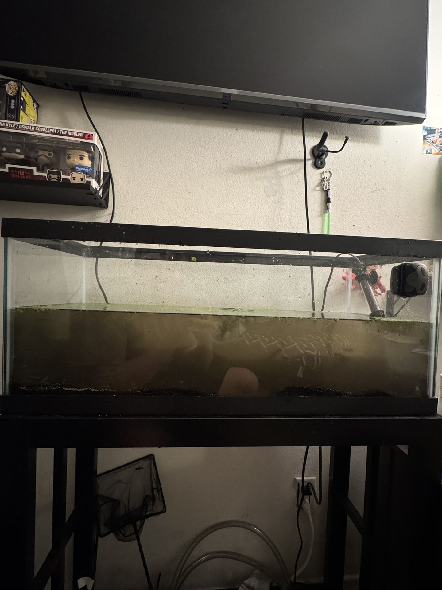 20 Gallon Fish Tank 