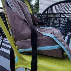Booster Seat