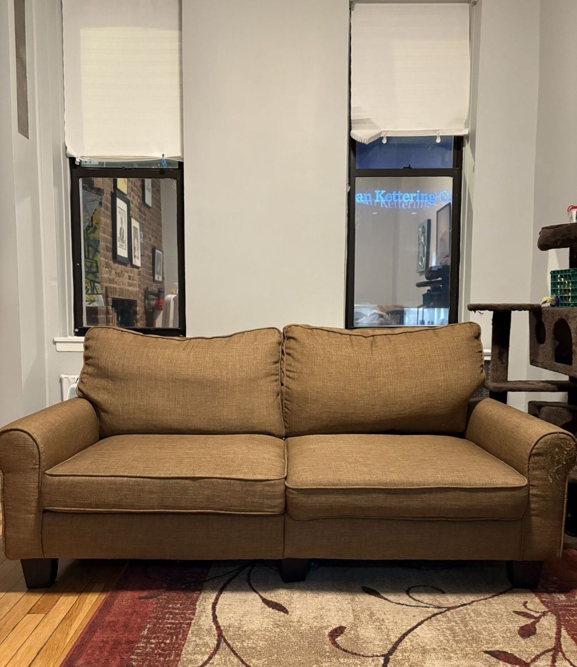 Futon Couch