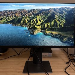 Dell 24" (P2421D) — QHD 1440p IPS — Ergonomic Stand