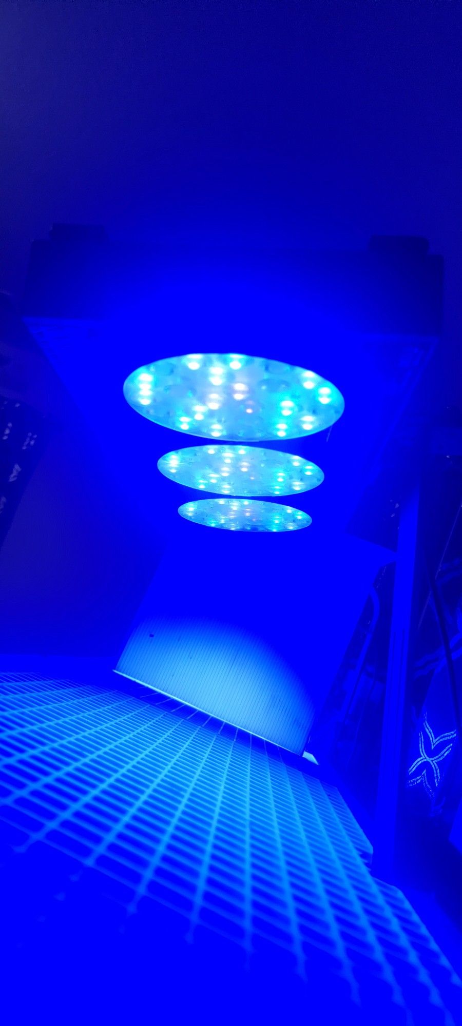 Reef Light