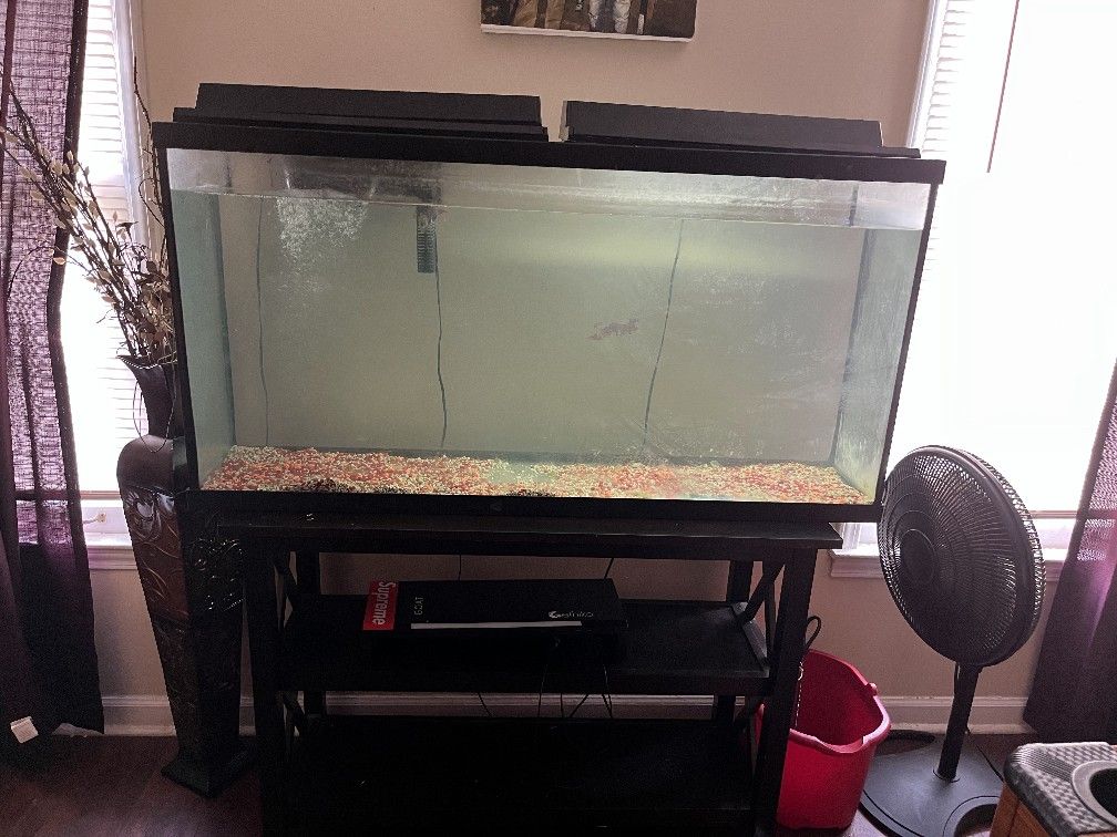 fish tank and stand