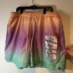NIKE Air Jordan DNA Poolside Shorts Mens XXL Swim Trunks Purple Green Peach
