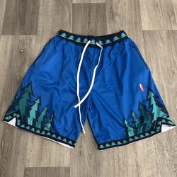 Collect Select T-Wolves Shorts Size 2XL 