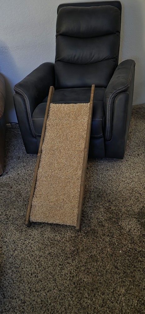 Pet Ramp Brand New 