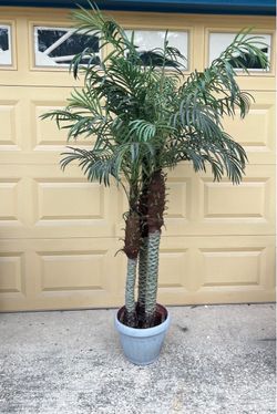 Artificial palm tree
