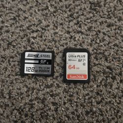 Hoodman Steel 128GB V90 SDXC + SanDisk Ultra Plus 64GB SDXC Memory Cards
