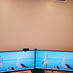 Two LG Ultra wide WFHD 29 Inch FHD 1070p Computer Monitor 29WN600-W