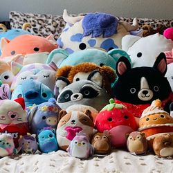 Squishmallow collection