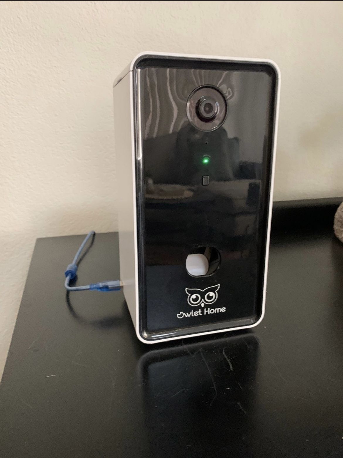 Dog Treat Camera