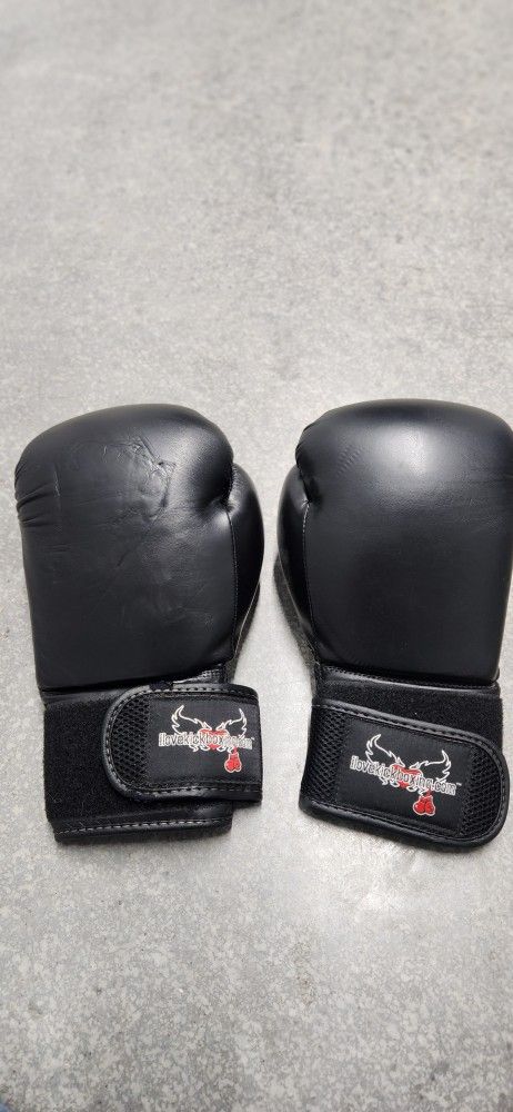 Kickboxing Gloves