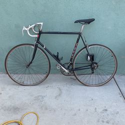 Trek Bike