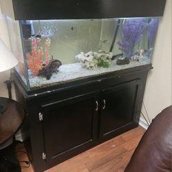 Fish Tank