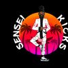 Sensei Kicks