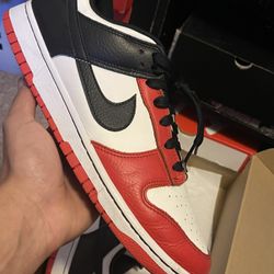 Nba Dunks Sz 11.5