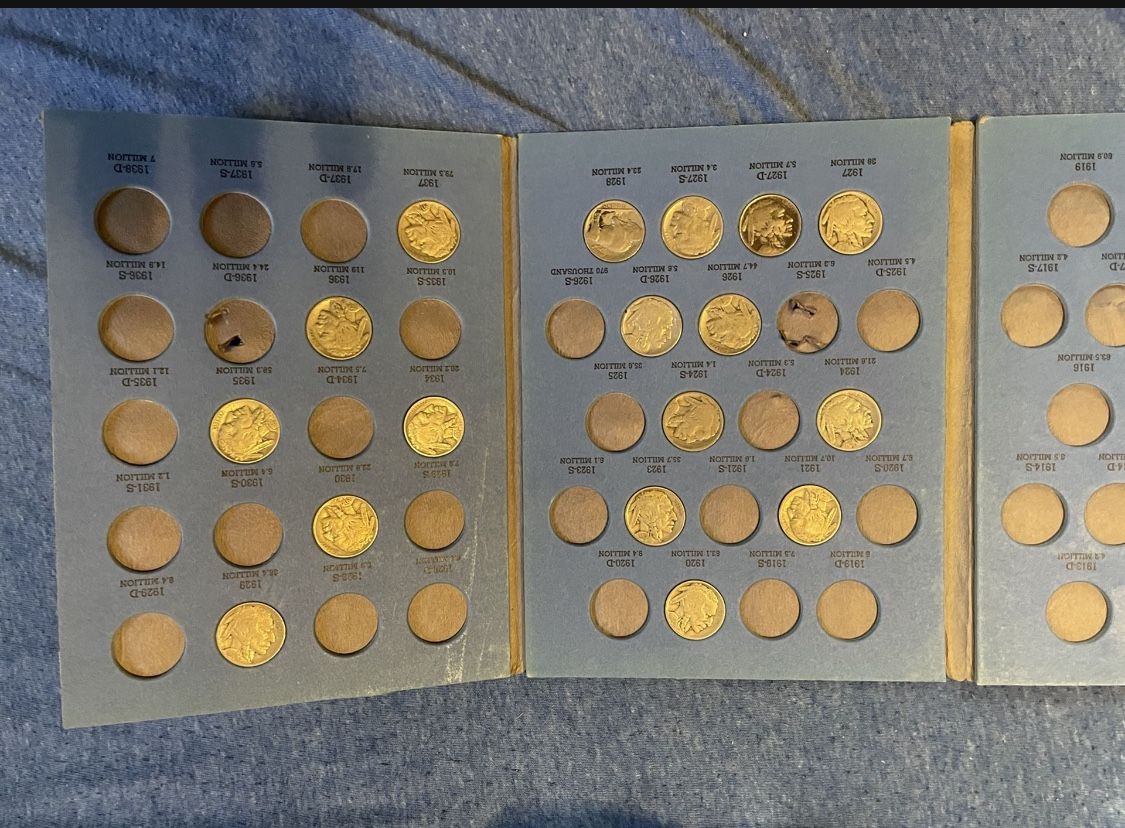 Over 20 Buffalo Nickles