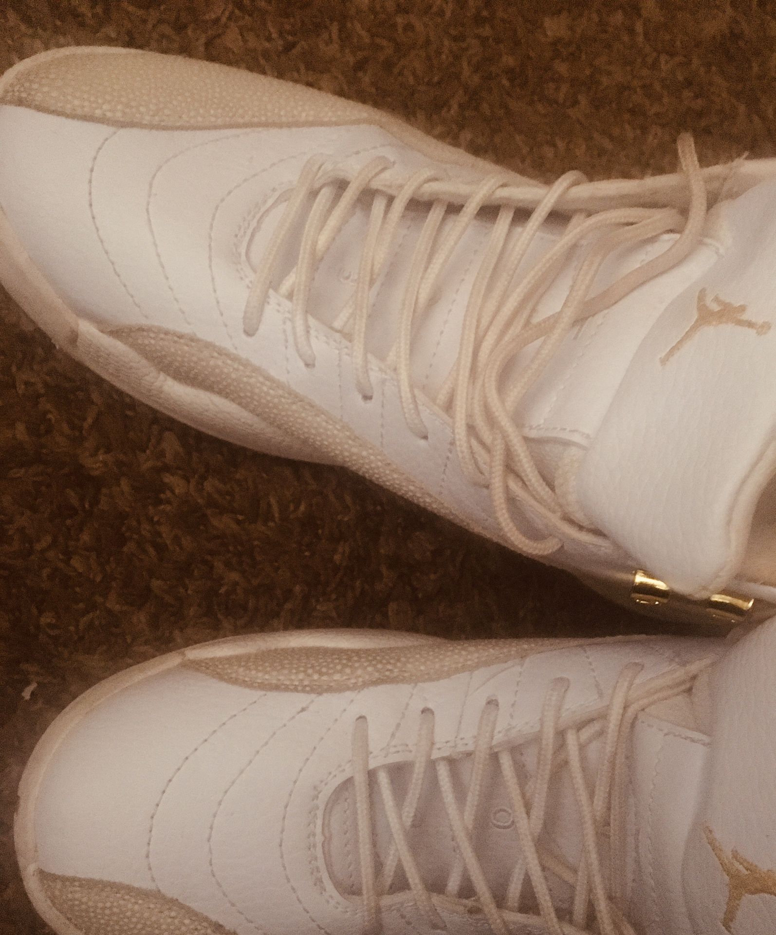 Ovo Jordan 12s
