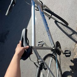 Trek Bike