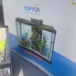 20 Gallon Fish Tank