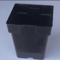 Plastic Pots 288 Count 5.5 x 5.5 x 6 in. 