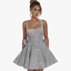 Party XV Court Homecoming Dress 