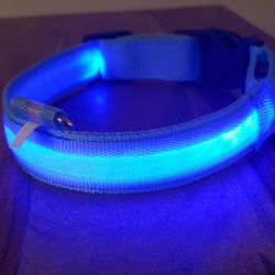 NEW- Blue LED Collar, Rechargeable 