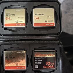 SanDisk, high-speed, compact, flash, professional