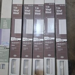 Cordless 1 in. Vinyl Mini Blind Window Shade 35”*64”