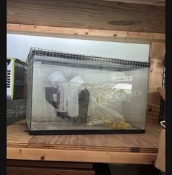 Fish Tank For Reptiles Or Gerbil