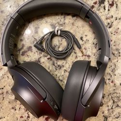 WH-H900N h.ear on 2 Wireless Noise-Canceling Headphones