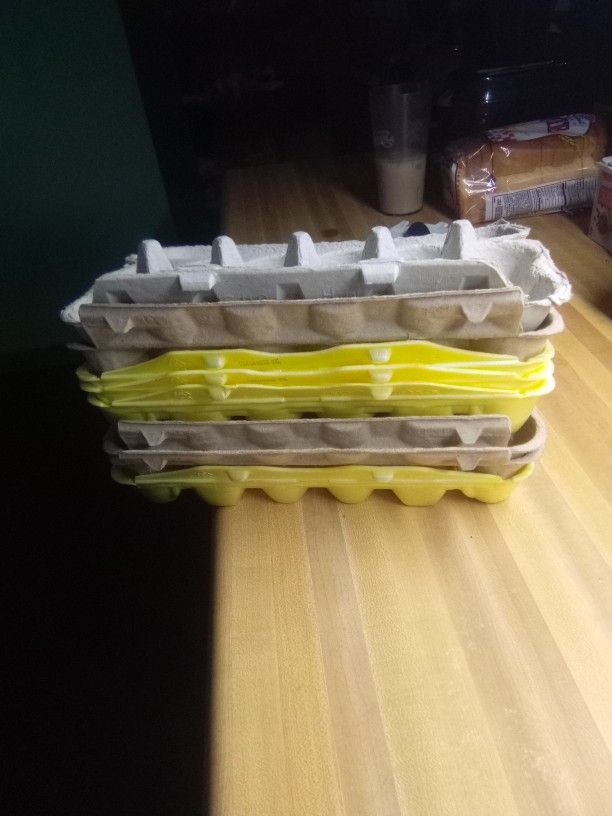56 Egg Cartons For Your Chicken Eggs