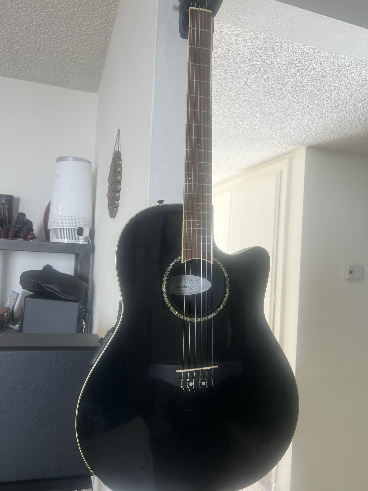 Acoustic Electric Guitar
