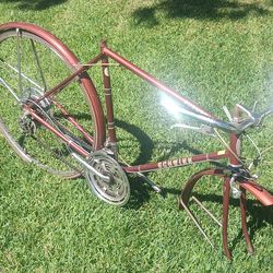 Vintage 70ish Schwinn Suburban