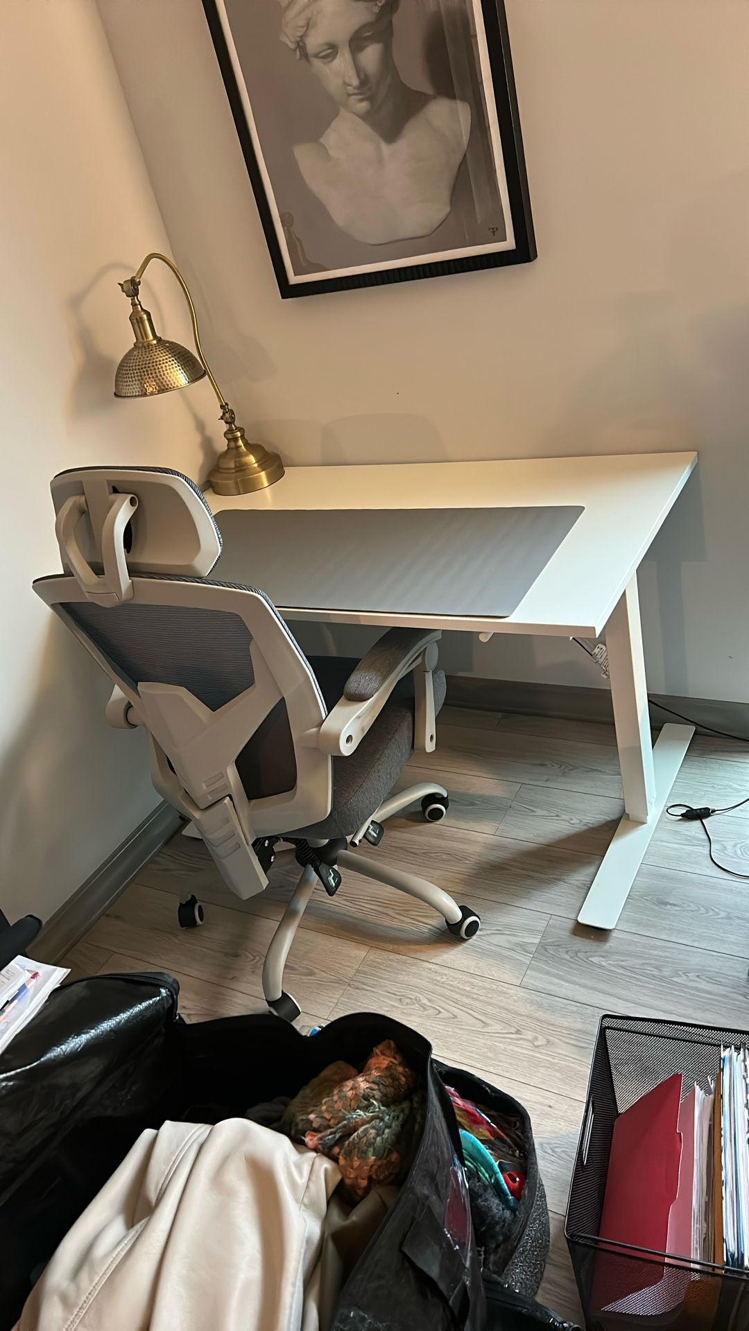 Standing-Sitting White Desk With Mat