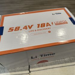 LiFePO4 58.4V 18A Charger waterproof