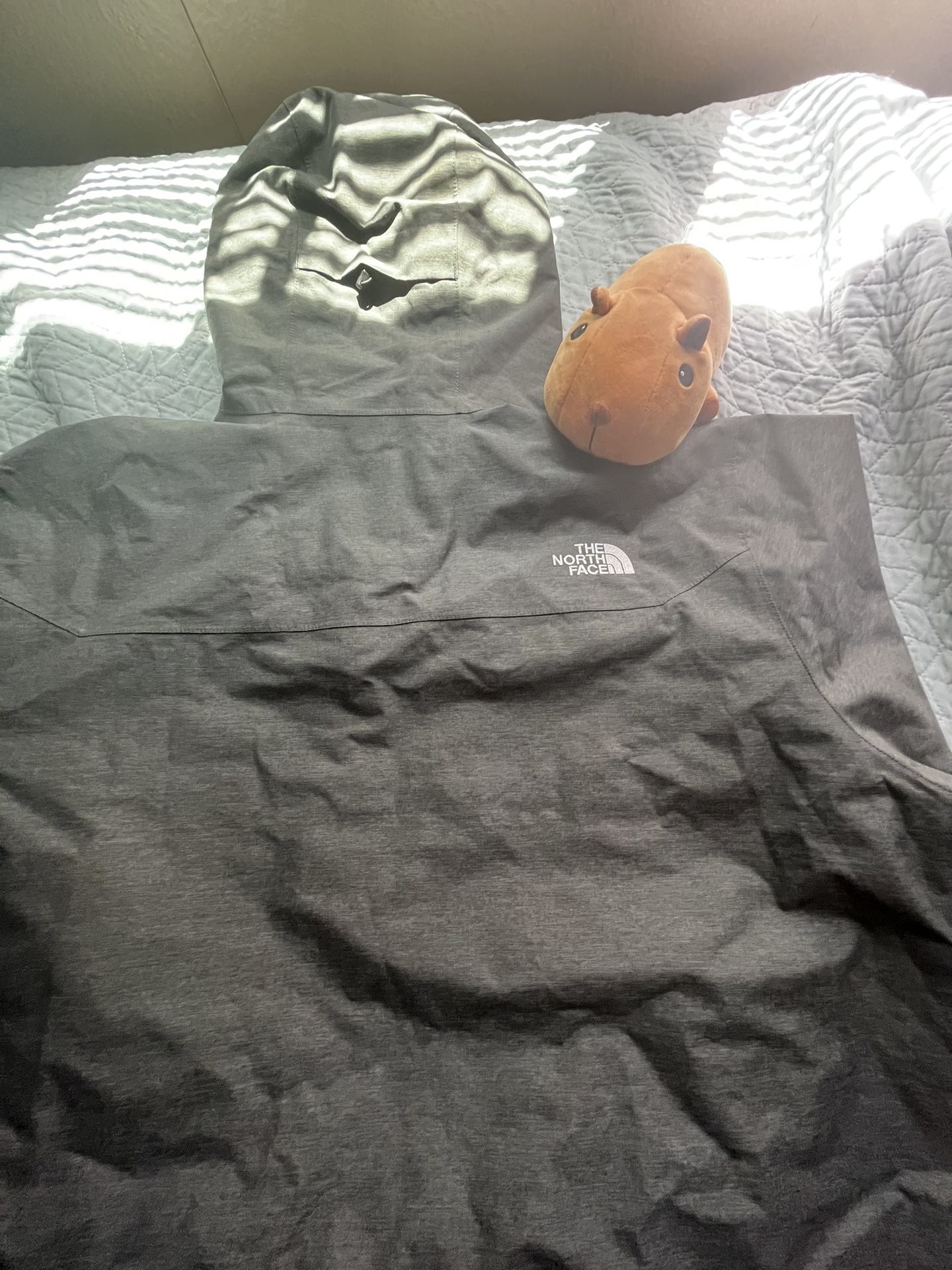 Grey NorthFace RainCoat