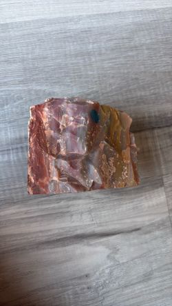 vintage petrified wood