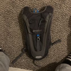 Camelback Style Hiking/running Backpack