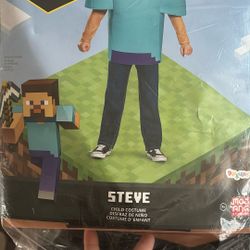 Minecraft Steve costume 