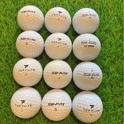 1 Dozen Topflite Mix