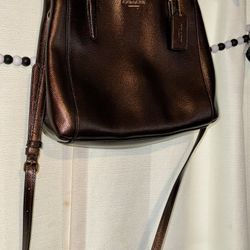 Brown Coach Purse