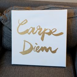 Carpe Diem Seize The Day Motivation Wall Sign