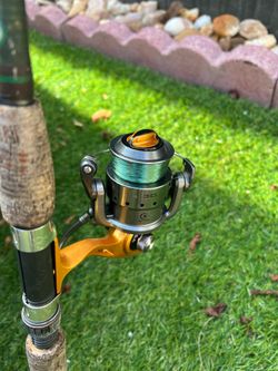 Quantum Triax Trx30f 7’0 Hurricane Calico Jack Spinning Rod Combo