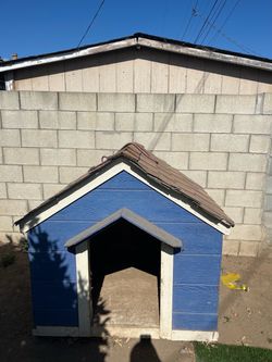 Large dog house