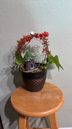 Plantas  Interior Y Exterior 