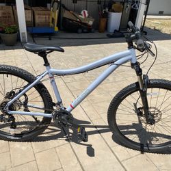 REI Coop DRT1.1 Disc Bike